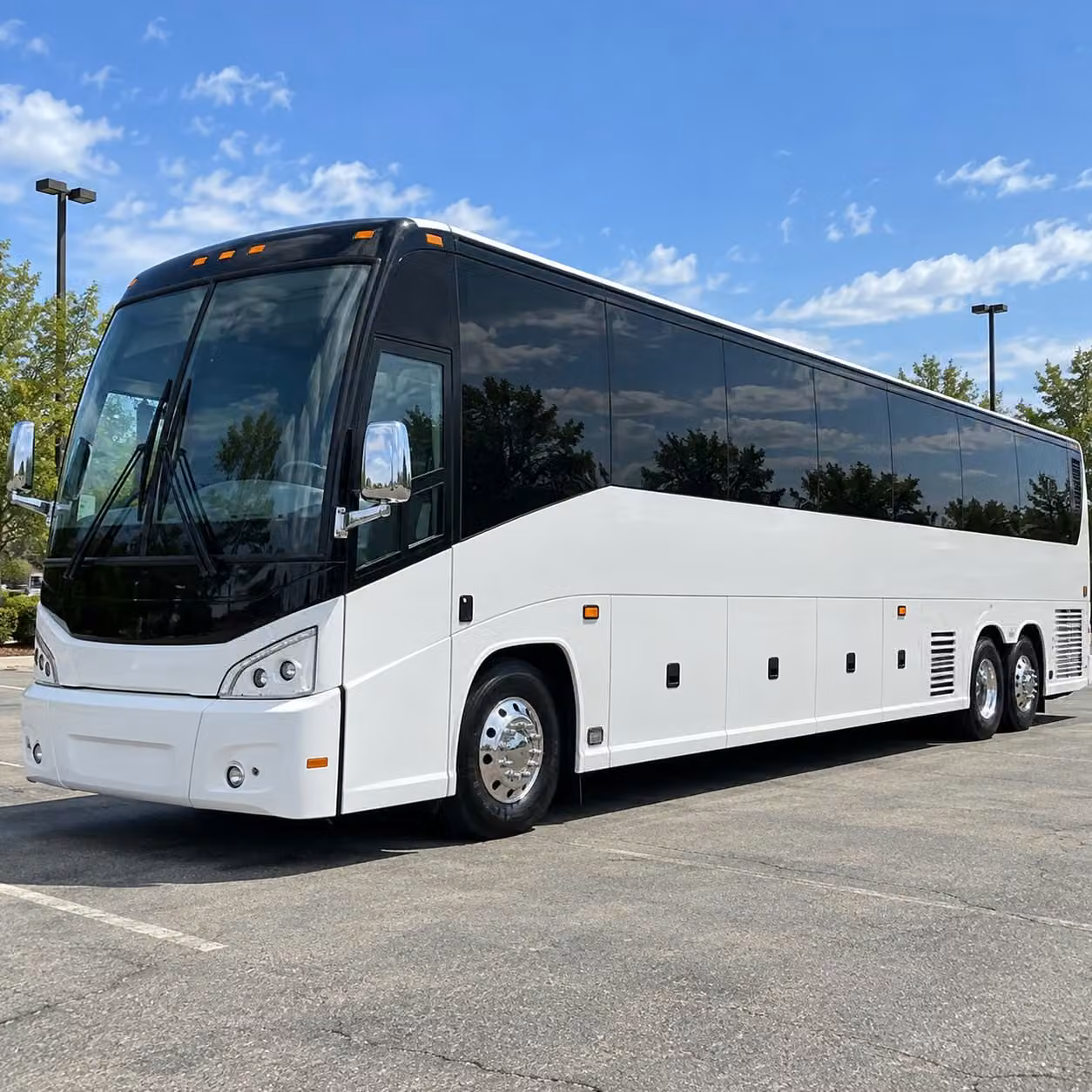 missouri city field trip buses to brazos bend state park and local nature sites